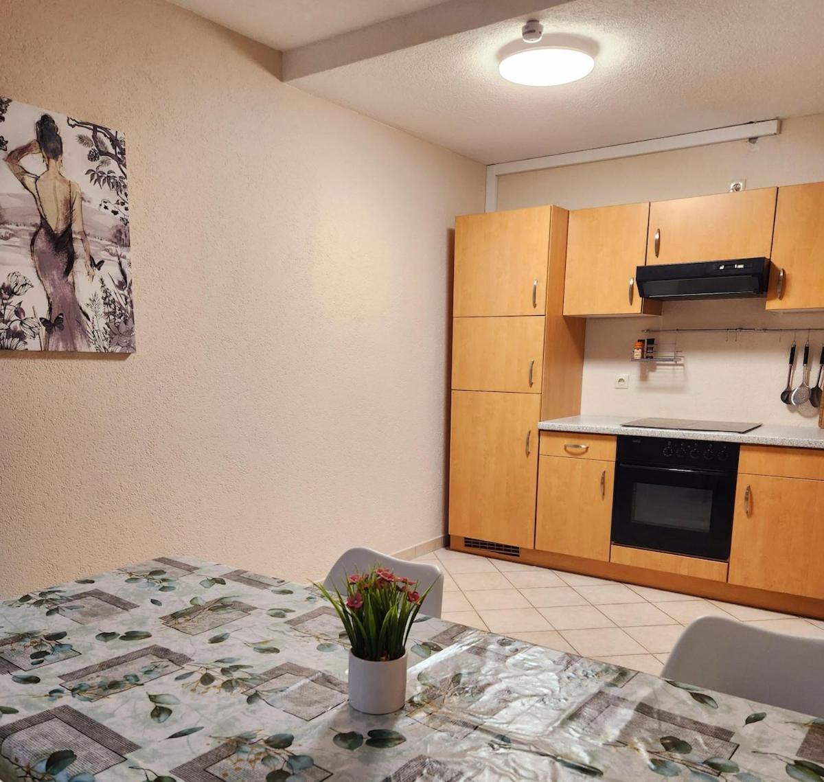 Sj Apartment Хемніц Екстер'єр фото